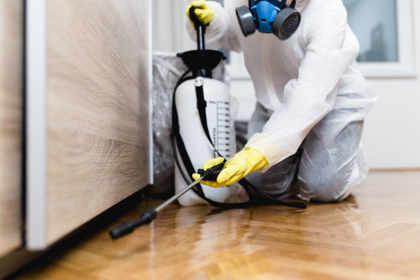 Best Wildlife Control Services  in Keokuk, IA
