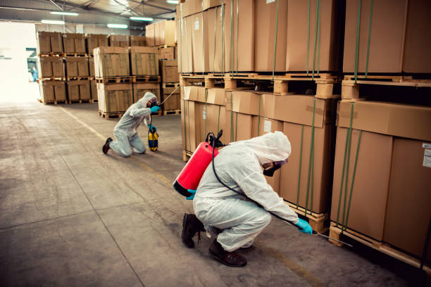 Best Ant Control Services  in Keokuk, IA