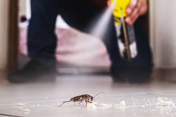 Best Bed Bug Extermination  in Keokuk, IA